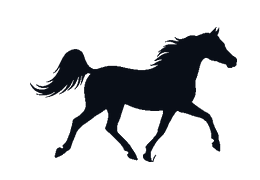 Running Arabian Horse