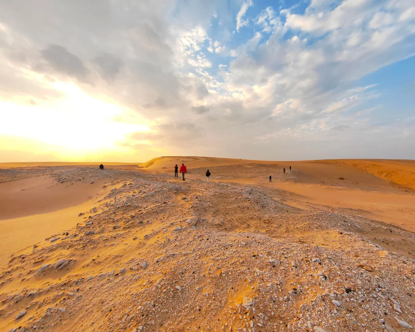 Gallery view 2