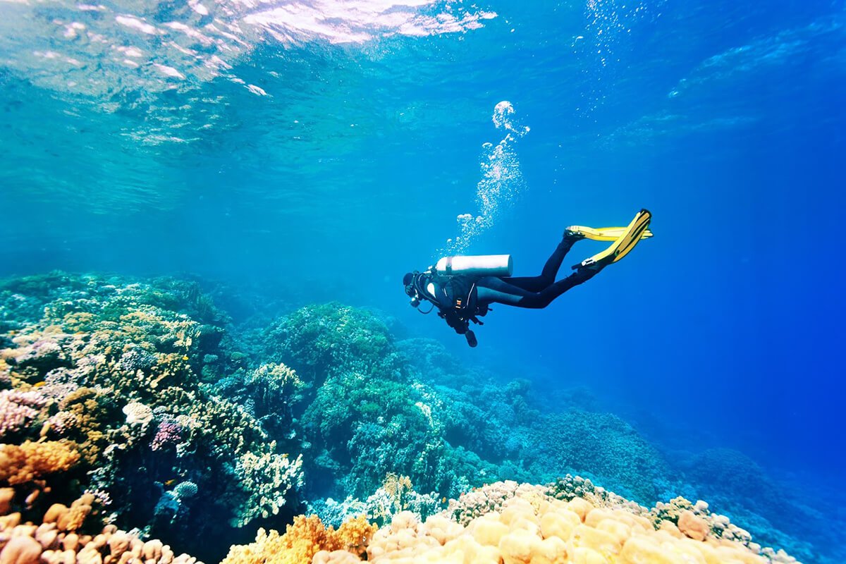 Red Sea: Liquid Summer Paradise