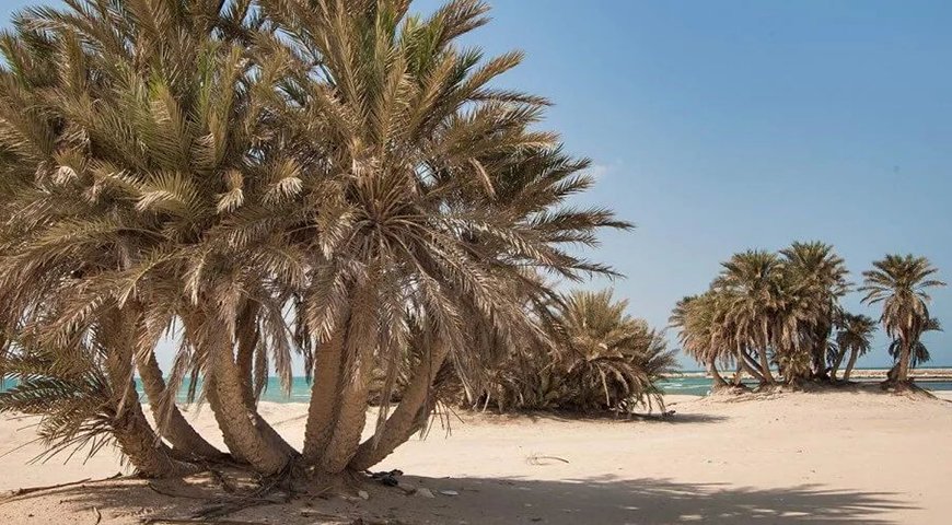 umm bab beach qatar