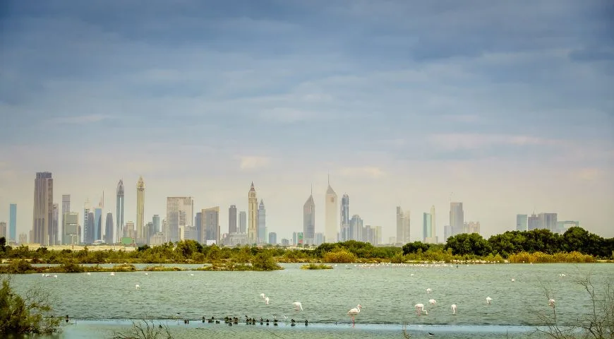 13 Stunning Hidden Gems in UAE that You Must Explore