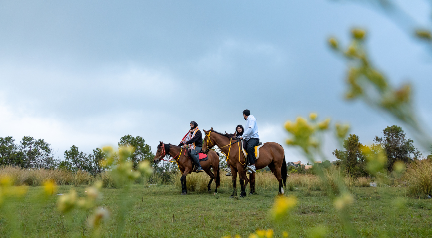 Horse Riding Experience