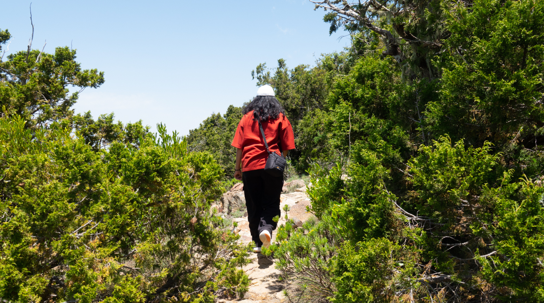 A person walking along a scenic trail surrounded by trees and greenery.