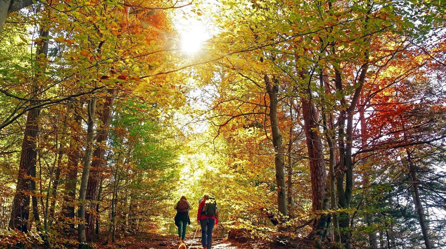Champadevi Hike