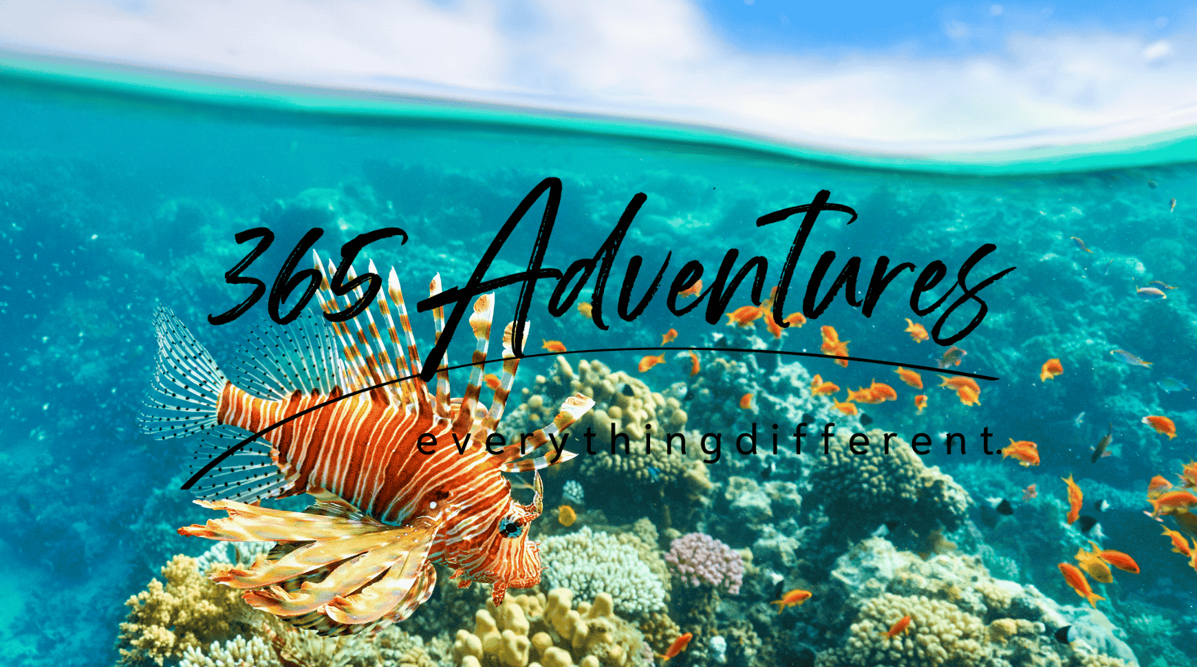 Red Sea, The Travel Hotspot
